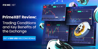Explore the Benefits of the PrimeXBT Trading Platform